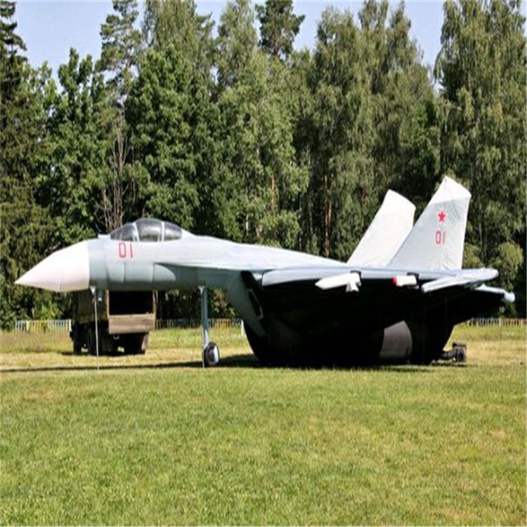 肃南军事飞机用品气模制造